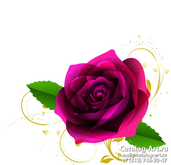 Pink roses 71